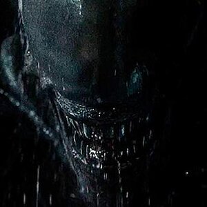 alien-covenant-xenomorph.jpg