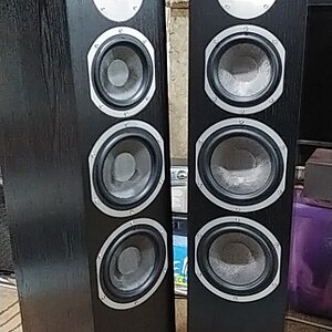unp10 (338x600).jpg