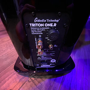 GoldenEar Technology Triton One.R Loudspeaker