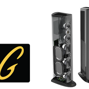 GoldenEar Technology Triton One.R Loudspeaker