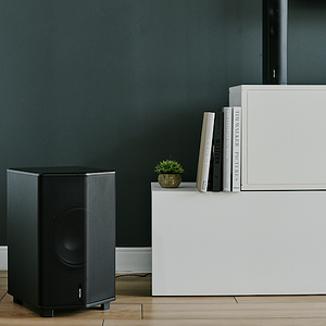 Enclave - 10 Inch Subwoofer.png