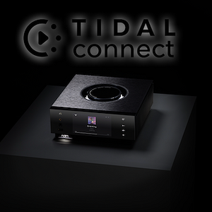 naim tidal connect