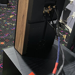 015 Rubicon LCR Speaker cable tiedown 1.jpg
