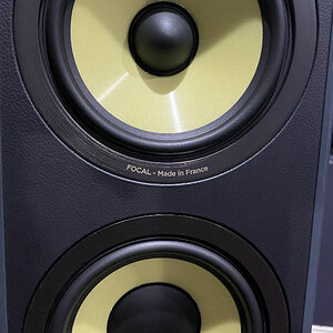 006 Focal 936 midrange detail.jpg