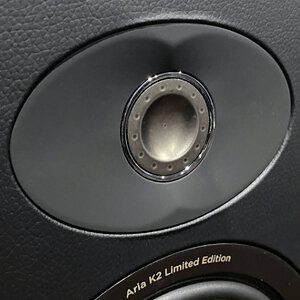 007 Focal Aria tweeter 1.jpg