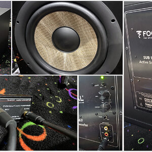 015 Focal Sub 1000F collage.jpg
