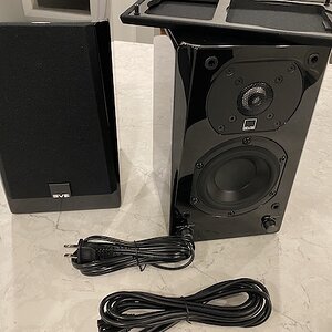 SVS Prime Wireless Speaker and 3000 Micro System Review