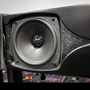 SCR woofer detail 1 .jpg