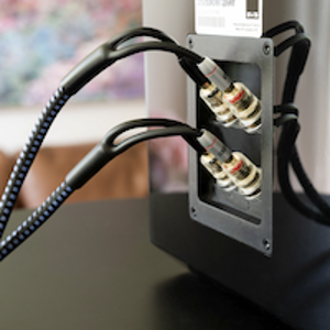 SVS SoundPath Bi-Wire Ultra Interconnect