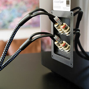 soundpath bi-wire speaker cable