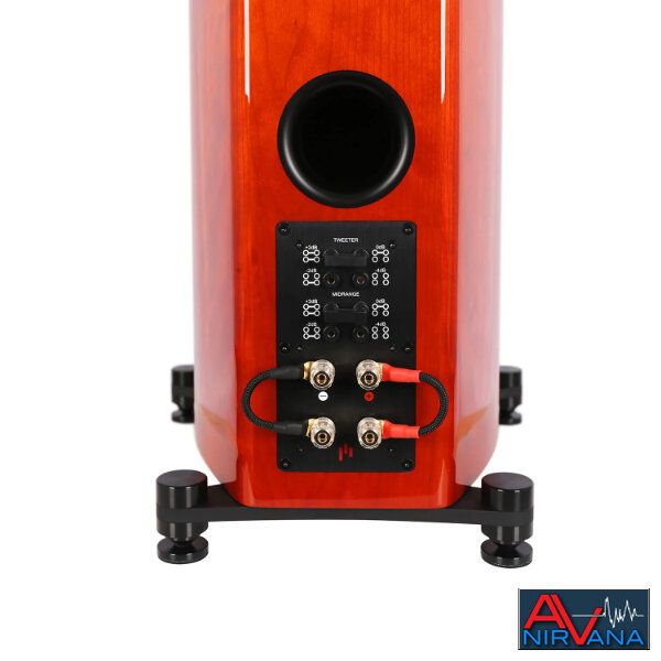 010 Verus III Concert Rear Panel Detail.jpg