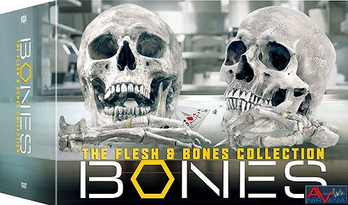 81QLhMP6u8L._SL1500_