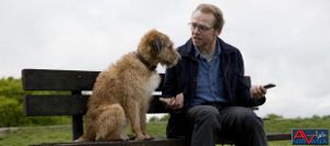 Absolutely-anything-Bannière-620x274