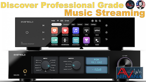 eversolo.001 copy.png