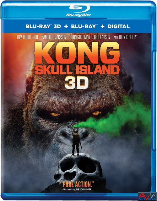 Kong 3D