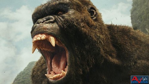 Kong