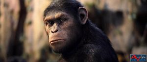 Rise-planet-apes